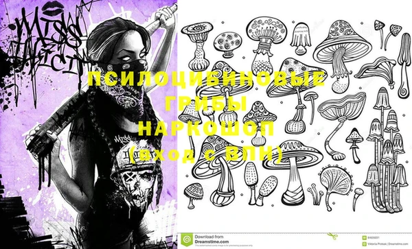 мяу мяу мука Алексин