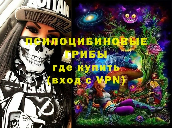 шишки Алексеевка