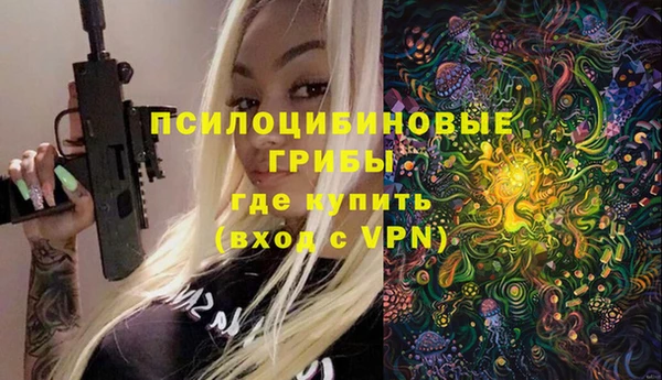 шишки Алексеевка
