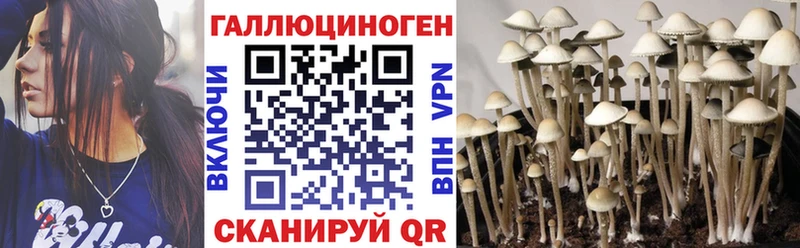 Галлюциногенные грибы мицелий  Исилькуль 